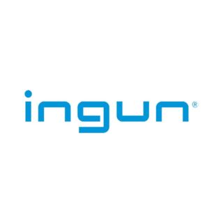 Ingun